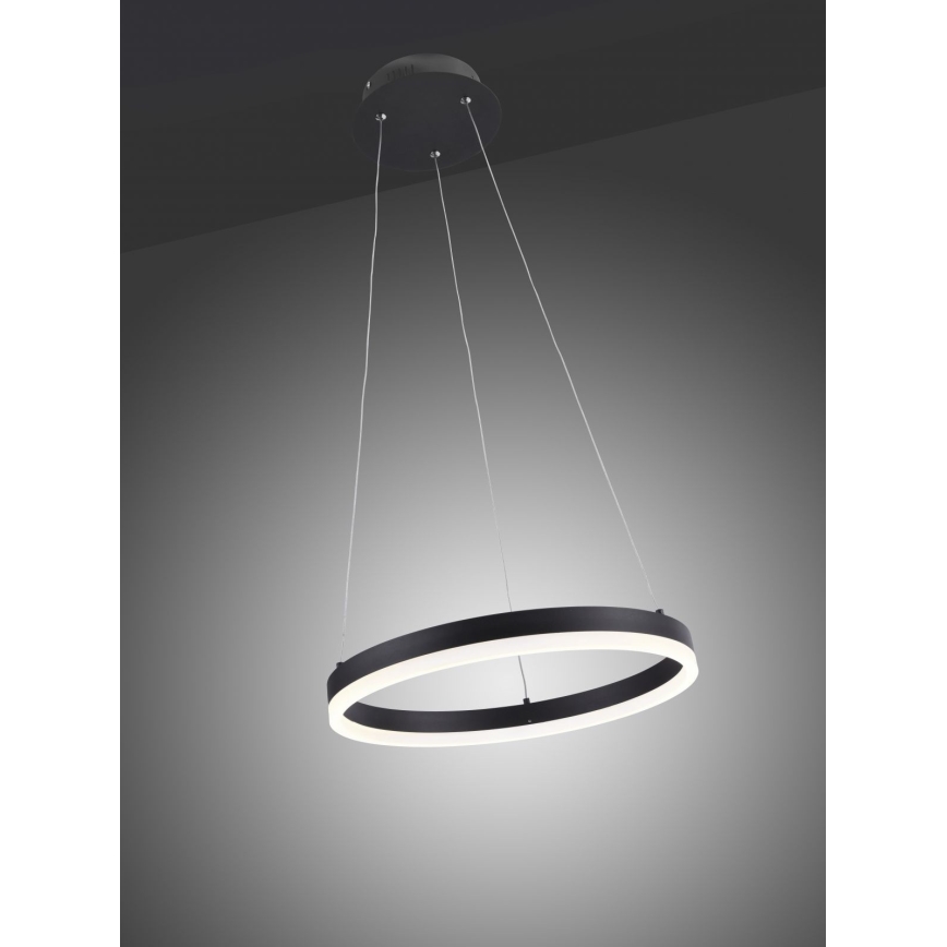 Paul Neuhaus 2381-13 - LED Dimmable chandelier on a string TITUS LED/28W/230V