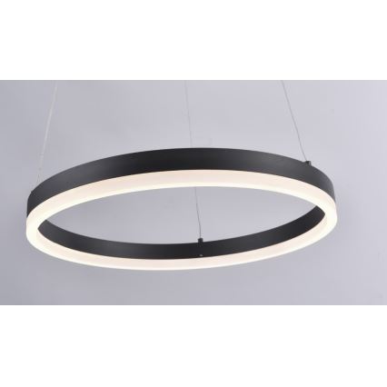 Paul Neuhaus 2381-13 - LED Dimmable chandelier on a string TITUS LED/28W/230V