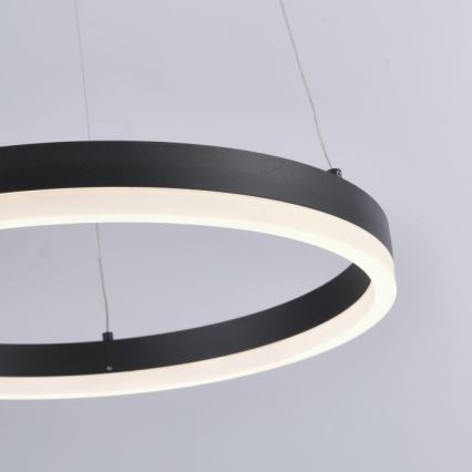 Paul Neuhaus 2381-13 - LED Dimmable chandelier on a string TITUS LED/28W/230V