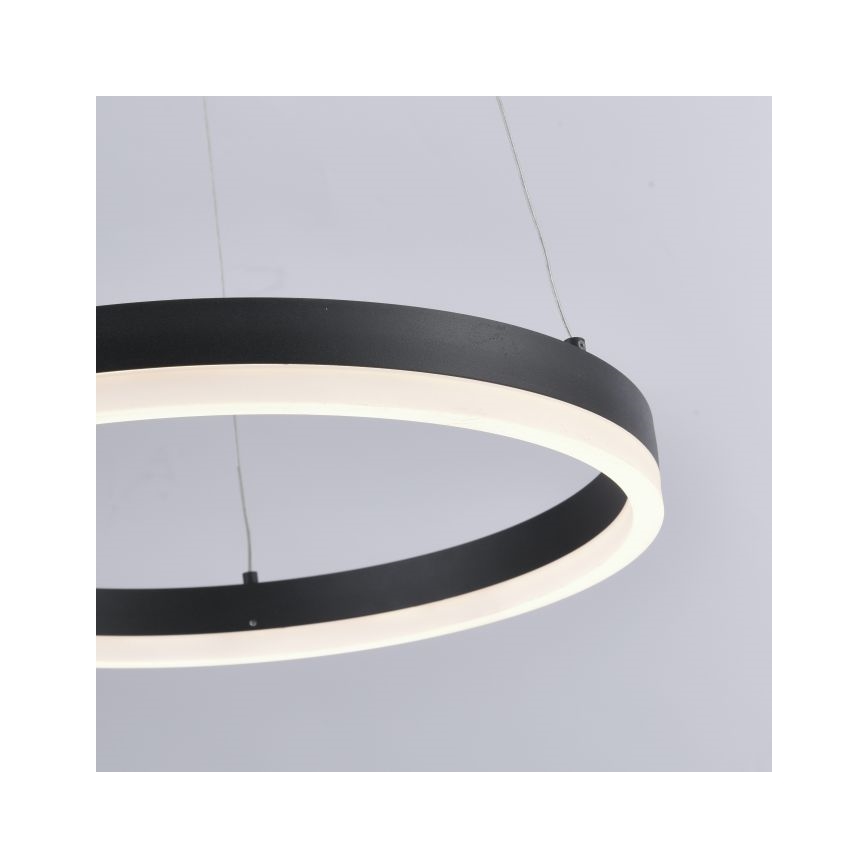 Paul Neuhaus 2381-13 - LED Dimmable chandelier on a string TITUS LED/28W/230V