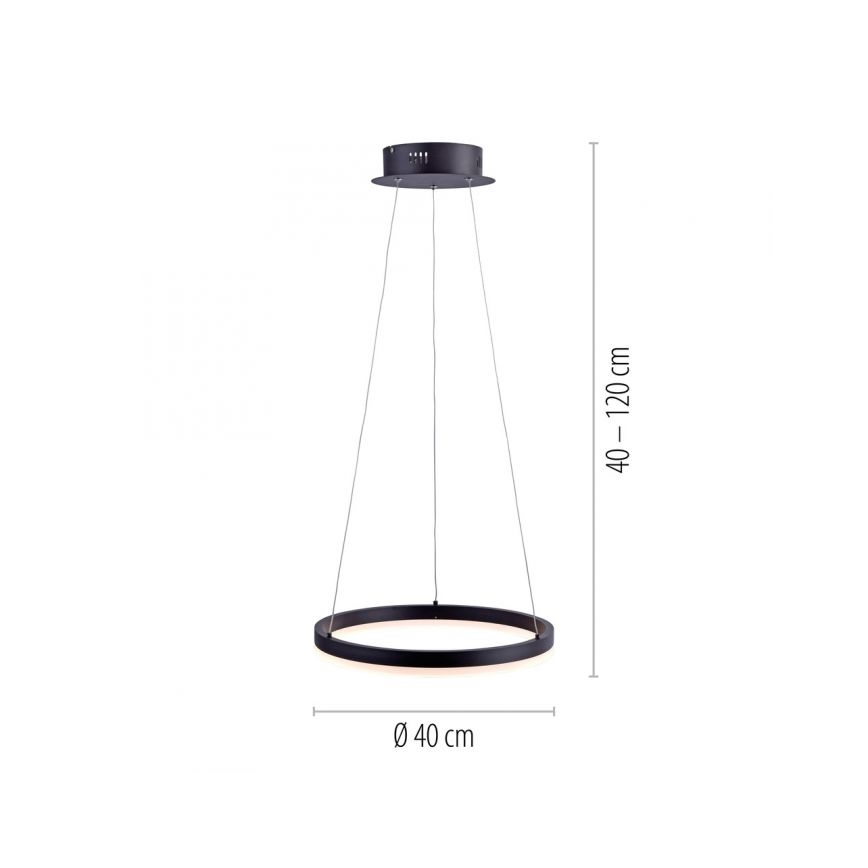 Paul Neuhaus 2381-13 - LED Dimmable chandelier on a string TITUS LED/28W/230V