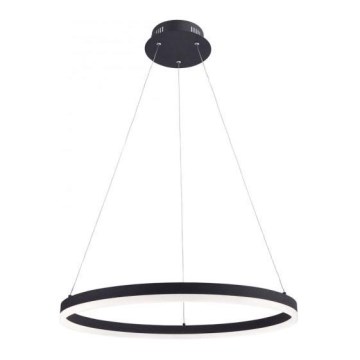 Paul Neuhaus 2382-13 - LED Dimmable chandelier on a string TITUS LED/38,5W/230V