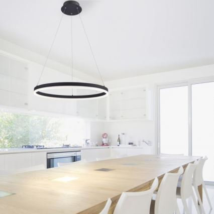 Paul Neuhaus 2382-13 - LED Dimmable chandelier on a string TITUS LED/38,5W/230V