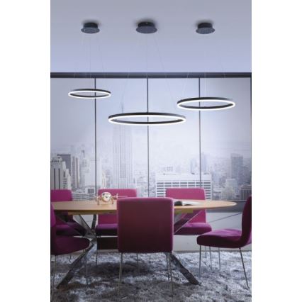 Paul Neuhaus 2382-13 - LED Dimmable chandelier on a string TITUS LED/38,5W/230V