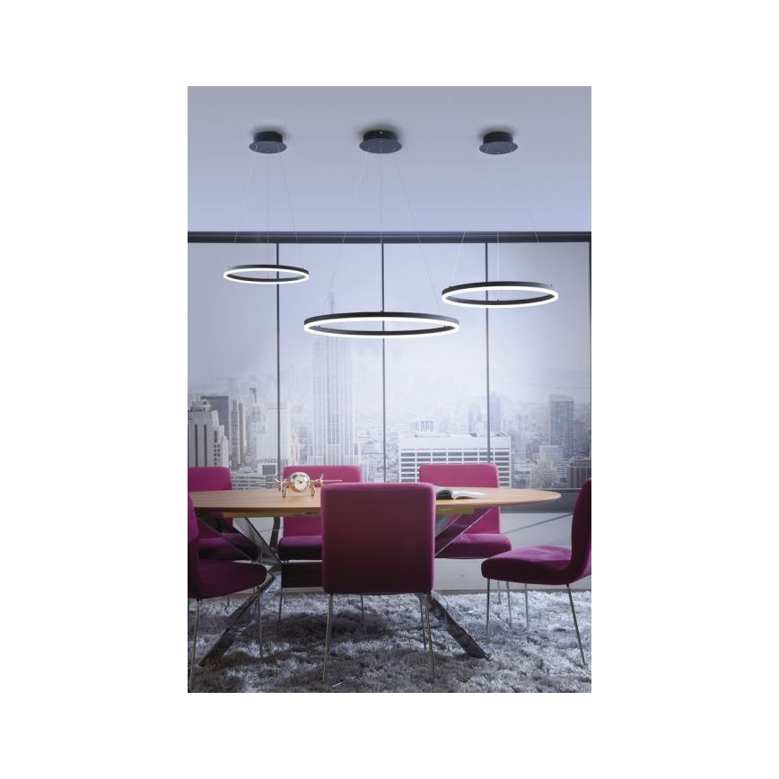 Paul Neuhaus 2382-13 - LED Dimmable chandelier on a string TITUS LED/38,5W/230V