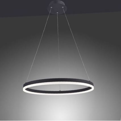 Paul Neuhaus 2382-13 - LED Dimmable chandelier on a string TITUS LED/38,5W/230V