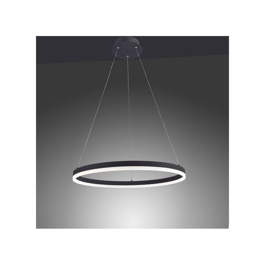 Paul Neuhaus 2382-13 - LED Dimmable chandelier on a string TITUS LED/38,5W/230V