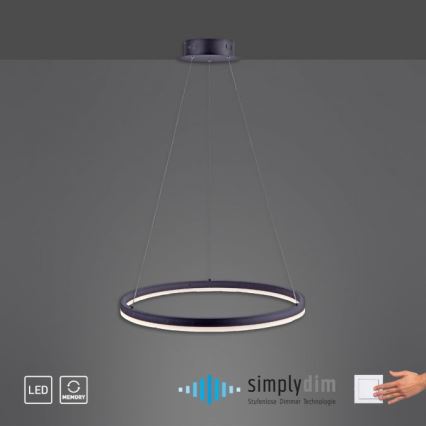 Paul Neuhaus 2382-13 - LED Dimmable chandelier on a string TITUS LED/38,5W/230V