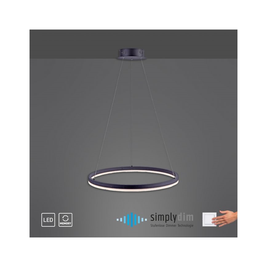Paul Neuhaus 2382-13 - LED Dimmable chandelier on a string TITUS LED/38,5W/230V