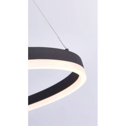 Paul Neuhaus 2382-13 - LED Dimmable chandelier on a string TITUS LED/38,5W/230V