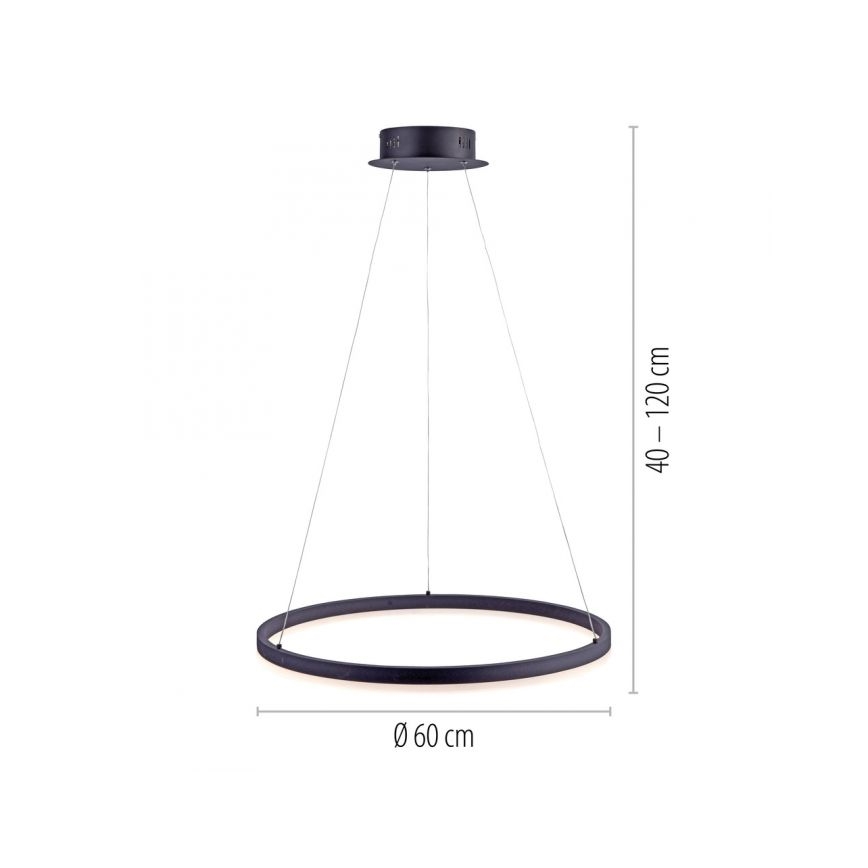 Paul Neuhaus 2382-13 - LED Dimmable chandelier on a string TITUS LED/38,5W/230V