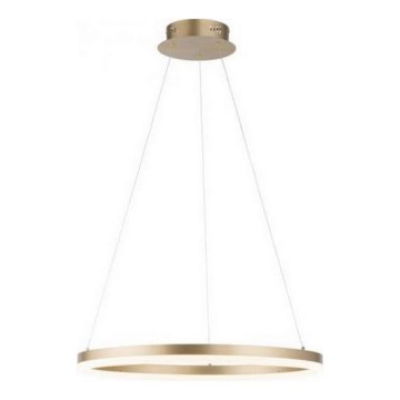 Paul Neuhaus 2382-60 - LED Dimmable chandelier on a string TITUS LED/38,5W/230V