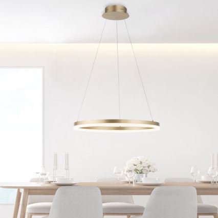 Paul Neuhaus 2382-60 - LED Dimmable chandelier on a string TITUS LED/38,5W/230V