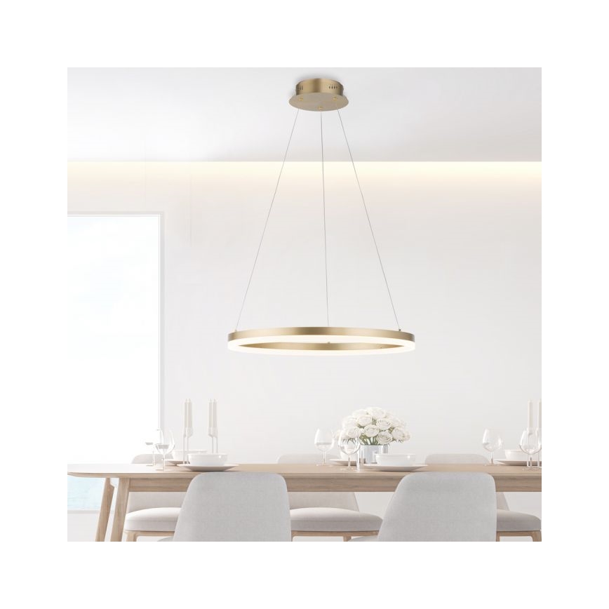 Paul Neuhaus 2382-60 - LED Dimmable chandelier on a string TITUS LED/38,5W/230V