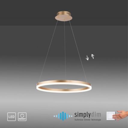 Paul Neuhaus 2382-60 - LED Dimmable chandelier on a string TITUS LED/38,5W/230V