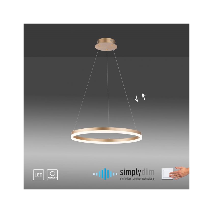 Paul Neuhaus 2382-60 - LED Dimmable chandelier on a string TITUS LED/38,5W/230V
