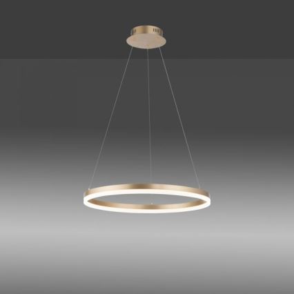 Paul Neuhaus 2382-60 - LED Dimmable chandelier on a string TITUS LED/38,5W/230V