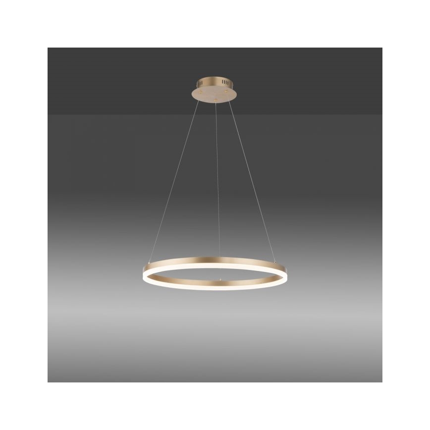 Paul Neuhaus 2382-60 - LED Dimmable chandelier on a string TITUS LED/38,5W/230V