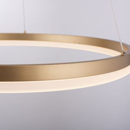 Paul Neuhaus 2382-60 - LED Dimmable chandelier on a string TITUS LED/38,5W/230V