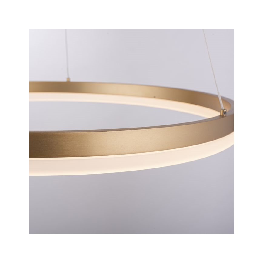 Paul Neuhaus 2382-60 - LED Dimmable chandelier on a string TITUS LED/38,5W/230V
