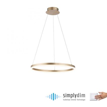 Paul Neuhaus 2382-60 - LED Dimmable chandelier on a string TITUS LED/38,5W/230V
