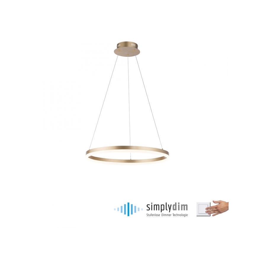 Paul Neuhaus 2382-60 - LED Dimmable chandelier on a string TITUS LED/38,5W/230V