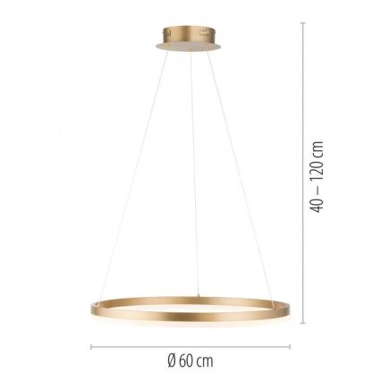 Paul Neuhaus 2382-60 - LED Dimmable chandelier on a string TITUS LED/38,5W/230V