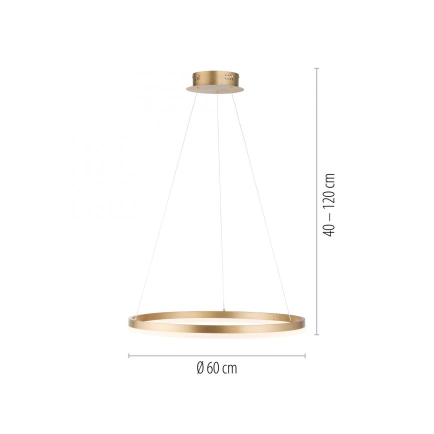 Paul Neuhaus 2382-60 - LED Dimmable chandelier on a string TITUS LED/38,5W/230V