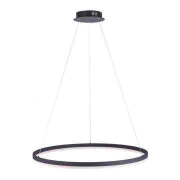 Paul Neuhaus 2383-13 - LED Dimmable chandelier on a string TITUS LED/50W/230V