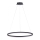 Paul Neuhaus 2383-13 - LED Dimmable chandelier on a string TITUS LED/50W/230V