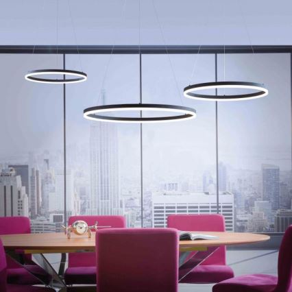 Paul Neuhaus 2383-13 - LED Dimmable chandelier on a string TITUS LED/50W/230V
