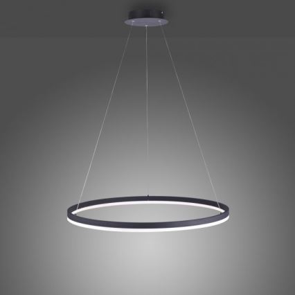 Paul Neuhaus 2383-13 - LED Dimmable chandelier on a string TITUS LED/50W/230V