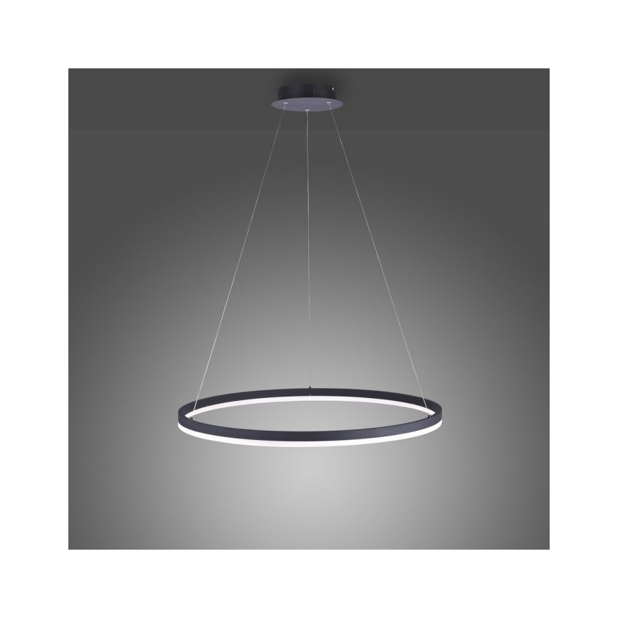 Paul Neuhaus 2383-13 - LED Dimmable chandelier on a string TITUS LED/50W/230V