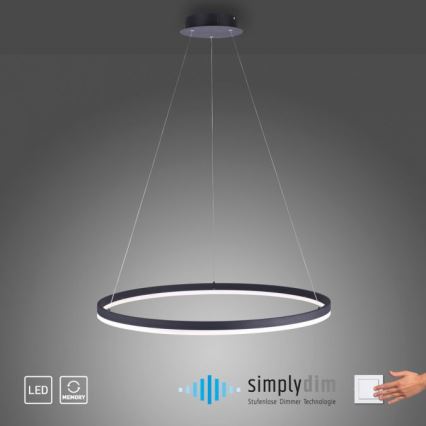 Paul Neuhaus 2383-13 - LED Dimmable chandelier on a string TITUS LED/50W/230V