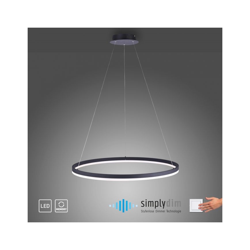 Paul Neuhaus 2383-13 - LED Dimmable chandelier on a string TITUS LED/50W/230V