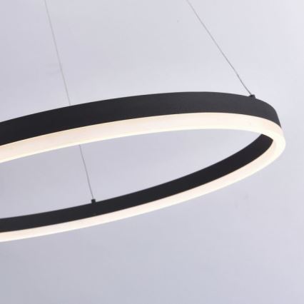 Paul Neuhaus 2383-13 - LED Dimmable chandelier on a string TITUS LED/50W/230V