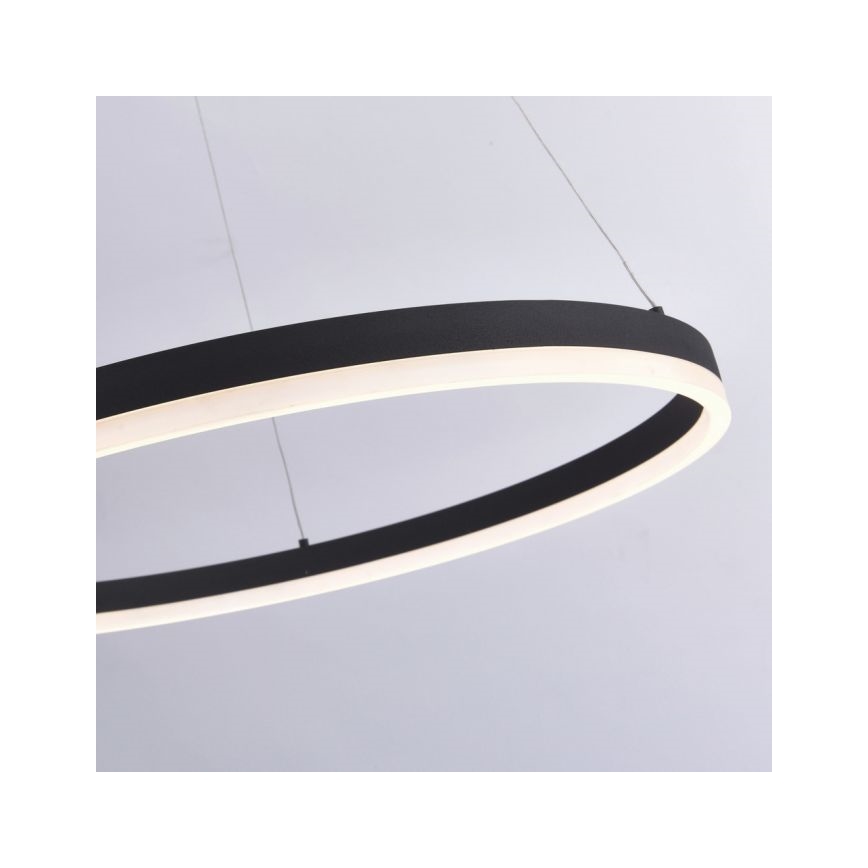 Paul Neuhaus 2383-13 - LED Dimmable chandelier on a string TITUS LED/50W/230V