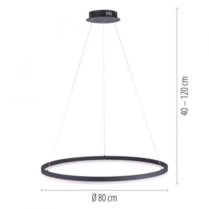 Paul Neuhaus 2383-13 - LED Dimmable chandelier on a string TITUS LED/50W/230V