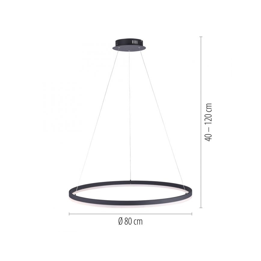 Paul Neuhaus 2383-13 - LED Dimmable chandelier on a string TITUS LED/50W/230V