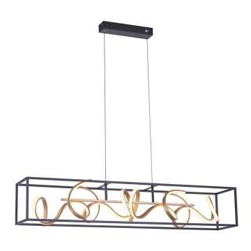 Paul Neuhaus 2416-18 - LED Dimming chandelier on a string SELINA 4xLED/10,2W/230V