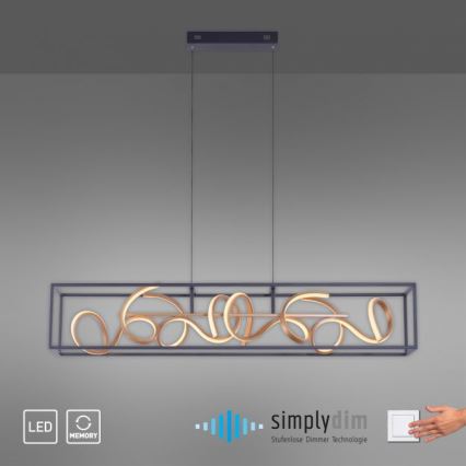 Paul Neuhaus 2416-18 - LED Dimming chandelier on a string SELINA 4xLED/10,2W/230V
