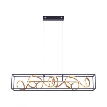 Paul Neuhaus 2416-18 - LED Dimming chandelier on a string SELINA 4xLED/10,2W/230V