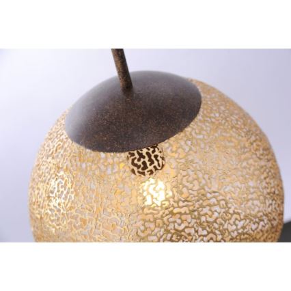 Paul Neuhaus 2420-48 - Chandelier on a string GRETA 1xE27/60W/230V d. 30 cm
