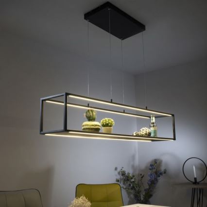 Paul Neuhaus 2441-18 - LED Dimmable chandelier on a string CONTURA 4xLED/8W/230V
