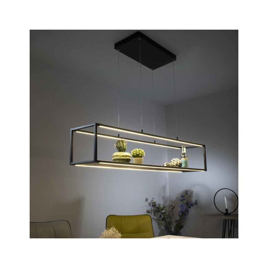Paul Neuhaus 2441-18 - LED Dimmable chandelier on a string CONTURA 4xLED/8W/230V
