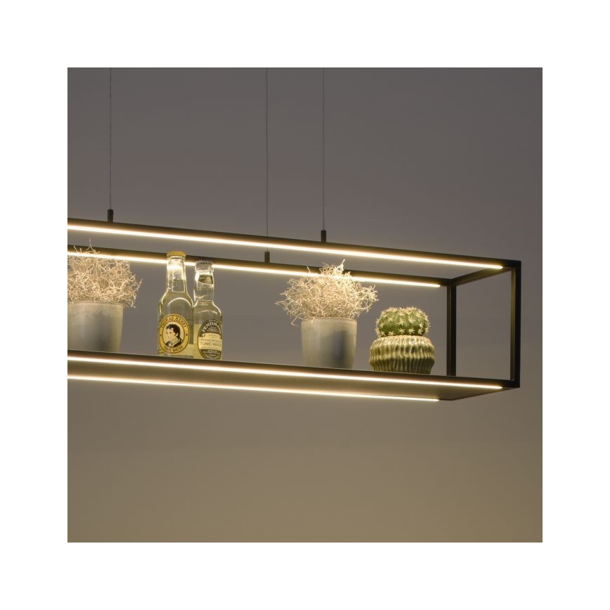 Paul Neuhaus 2441-18 - LED Dimmable chandelier on a string CONTURA 4xLED/8W/230V