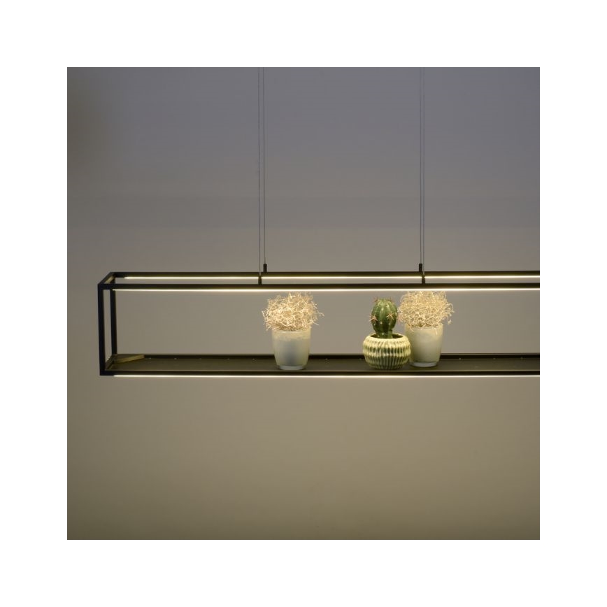 Paul Neuhaus 2441-18 - LED Dimmable chandelier on a string CONTURA 4xLED/8W/230V