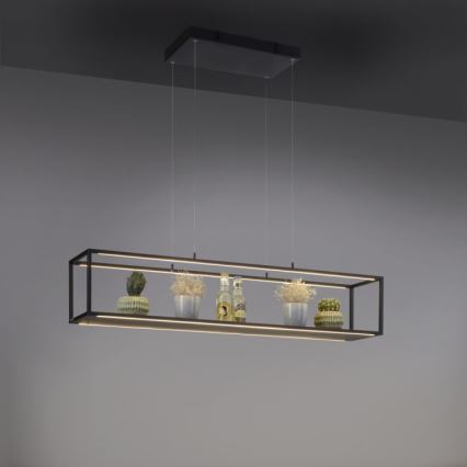 Paul Neuhaus 2441-18 - LED Dimmable chandelier on a string CONTURA 4xLED/8W/230V