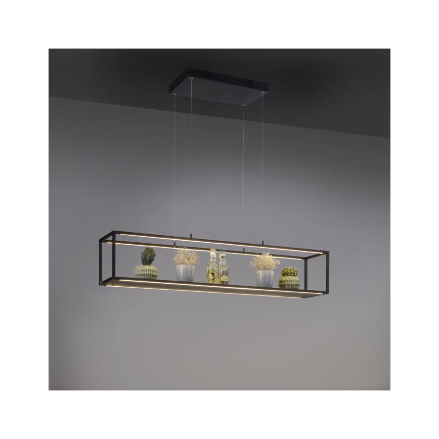 Paul Neuhaus 2441-18 - LED Dimmable chandelier on a string CONTURA 4xLED/8W/230V