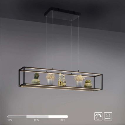 Paul Neuhaus 2441-18 - LED Dimmable chandelier on a string CONTURA 4xLED/8W/230V